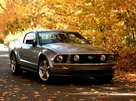 2009 Mustang GT 05 Mustang, 2005 Mustang Gt, S197 Mustang, Mustang 2008, Mustang S197, 2009 Mustang, 2005 Mustang, Mustang 2005, Car Projects