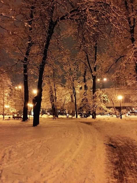 Beautiful Winter Pictures, I Love Winter, Winter Love, Winter Vibes, Christmas Wonderland, Winter Scenery, Snowy Day, Winter Pictures, Winter Wonder