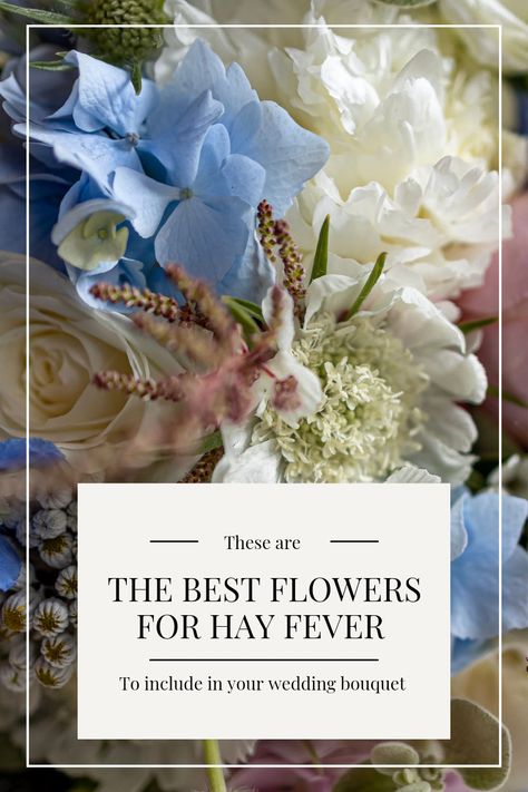 Tap to find out the best flowers to use in your wedding bouquet if you suffer from hay fever. These blooms have a low pollen count and are super allergy friendly Pollen Allergy, Itoh Peonies, Peony Colors, White Flower Bouquet, Paeonia Lactiflora, Hay Fever, Best Flowers, Pollen Allergies, Rustic Bouquet