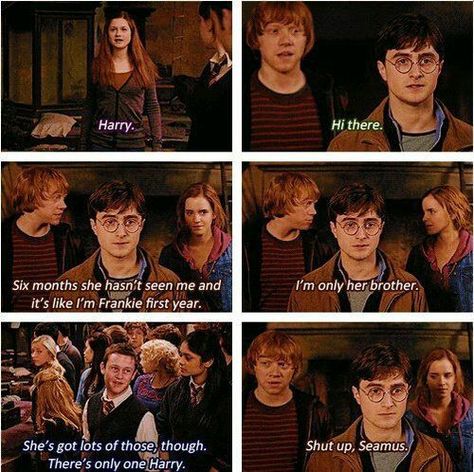 Harry And Ginny, Harry Potter Jokes, Harry Potter Love, Harry Potter Quotes, Harry Potter Obsession, Wizarding World Of Harry Potter, Mischief Managed, Harry Potter Fantastic Beasts, Harry Potter Funny