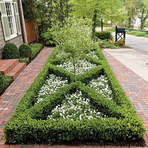 Skipped the Lawn Front Yard Boxwood, Bill Ingram, Hofburg Palace, Low Maintenance Landscaping Front Yard, Boxwood Landscaping, Colonial Garden, Formal Garden Design, Parterre Garden, Boxwood Garden