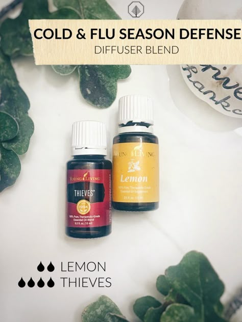 Essential Oil Diffuser Blend - #SaturdaEO Nerve System, Helichrysum Essential Oil, Essential Oils For Colds, Essential Oils For Headaches, Essential Oil Diffuser Blends Recipes, Young Living Essential Oils Recipes, Essential Oil Diffuser Recipes, Oil Diffuser Recipes, Yl Essential Oils