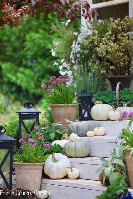 A simple autumn porch styled with white pumpkins, fall potted flowers, and French country fall decor detail for your patio. #patio #porch #frenchcountry #frenchcountrycottage #whitepumpkins #fallhomedecor #falldecorating French Country Fall Decor, Country Fall Decor, Fall Pots, Autumn Porch, Porch Styles, French Vintage Decor, Cottage Decorating, Potted Flowers, Fall Bedding