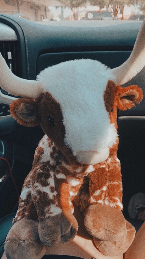 Long Horn Cow Build A Bear, Western Stuffed Animals, Longhorn Build A Bear Aesthetic, Build A Bear Longhorn Aesthetic, Build A Bear Highland Cow, Longhorn Build A Bear, Build A Bear Longhorn, Cow Build A Bear, Cow Things