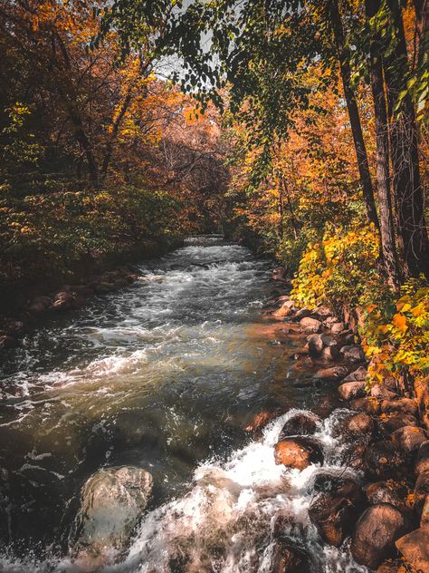 Lake In Autumn, Fall Asethic Widget, Fall Lake Aesthetic, Autumn Lake Aesthetic, Fall Playlist Cover Aesthetic, Fall Playlist Cover, Widget Ideas Aesthetic, Dear October, Fall Homescreen Wallpaper