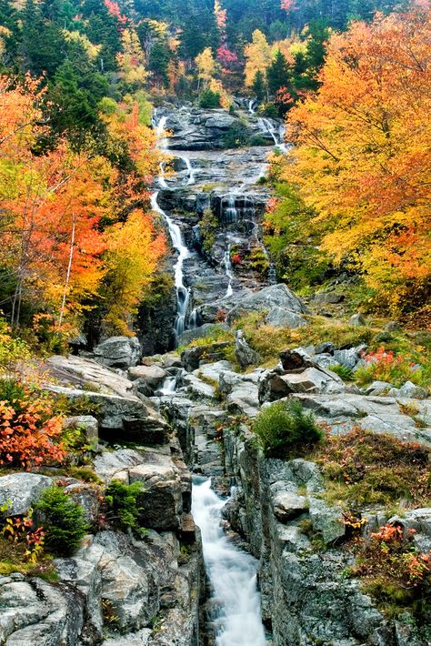 New England Fall, To Infinity And Beyond, Pretty Places, In The Fall, New Hampshire, Vacation Spots, Fall Season, Travel Usa, Hampshire