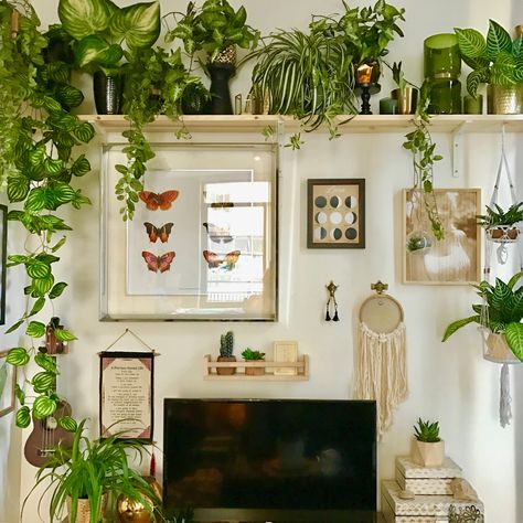 Hygge & West in my house! Concrete Loft, Hygge Ideas, Interiors Living Room, Hygge Living Room, Lots Of Plants, Hygge Living, نباتات منزلية, House Plants Decor, Room With Plants