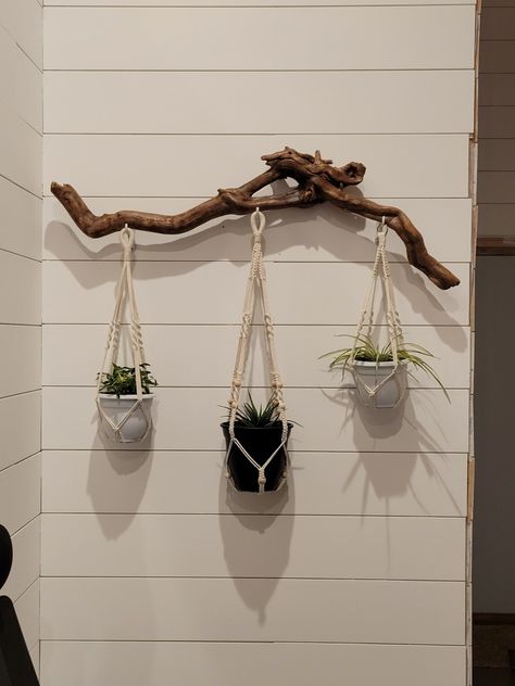 Plants On Driftwood, Driftwood Macrame Plant Hanger, Macrame Driftwood, Branch Plant Hanger, Driftwood Plant Hanger, Driftwood Crafts Wall Hangings, Driftwood Macrame, Twig Crafts, Macrame Wall Hanger