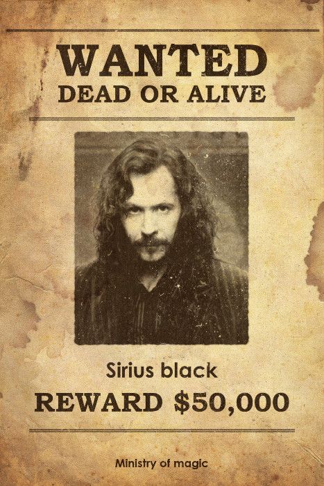 Sirius Black Sirius Black Poster, Harry Potter Sirius, Imprimibles Harry Potter, Fiesta Halloween, Daily Prophet, Hogwarts Dr, Harry Potter Poster, Recruitment Poster, Ministry Of Magic