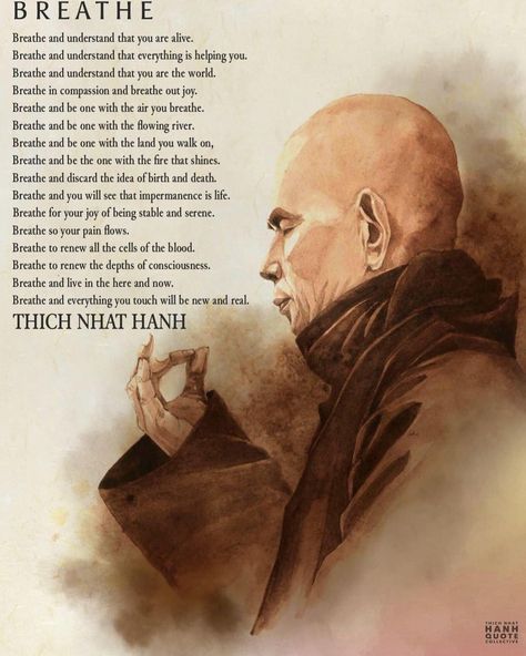 Yoga Intentions, Thich Nhat Hanh Quotes Mindfulness, Thich Nhat Hanh Quotes, Pure Soul, Emotional Freedom Technique, Mindfulness Techniques, Buddhist Quotes, Emotional Freedom, Beautiful Trees