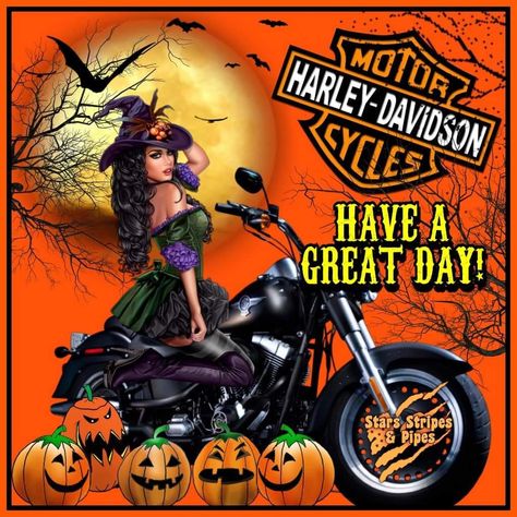 Biker Halloween, Holiday Memes, Harley Davidson Decals, Harley Davidson Photos, Harley Davidson Quotes, Harley Davidson Images, Harley Davidson Pictures, Female Motorcycle Riders, Harley Davidson Artwork