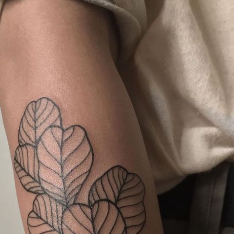 Fiddle Leaf Tattoo, Fiddle Leaf Fig Tattoo, Fig Tattoo, Leaf Tattoo, Fiddle Leaf, Fiddle Leaf Fig, Leaf Tattoos, Fig, Flash