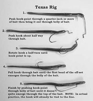 Bass Fishing Tattoo, Bass Fishing Pictures, Trout Fishing Tips, Fishing 101, Bass Fishing Lures, Bass Fishing Tips, Fishing Hooks, Fishing Rigs, Crappie Fishing