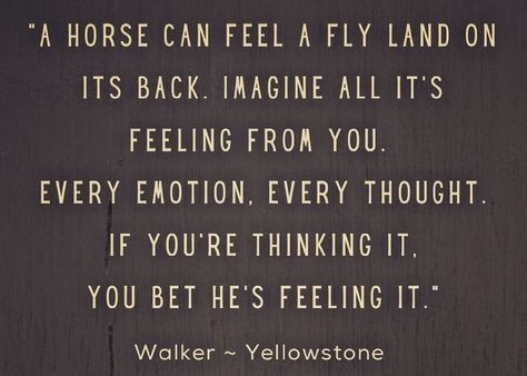 Horse Therapy Quotes, Horseback Riding Quotes, Yellowstone Quotes, Inspirational Horse Quotes, Horse Riding Quotes, Equestrian Quotes, Cowboy Quotes, Cowgirl Quotes, Riding Quotes