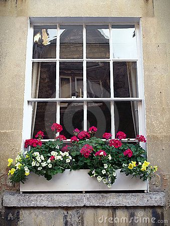 I've always loved window boxes. Maybe one of these with herbs at the kitchen window... :) Sash Window, Window Box Flowers, Window Planters, Pottery Pots, Trough Planters, Window Ledge, Bean Bag Chairs, Bag Chairs, Garden Terrarium