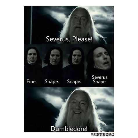 28 Harry Potter Memes for First-Year Hogwarts Students Waiting for the Sorting Ceremony to Begin Snape Snape Severus Snape Dumbledore, Severus Snape Dumbledore, Snape Snape Severus Snape, Harry Potter Fanları, Glume Harry Potter, Funny Harry Potter Jokes, Severus Rogue, Harry Potter Memes Hilarious, Harry Potter Puns