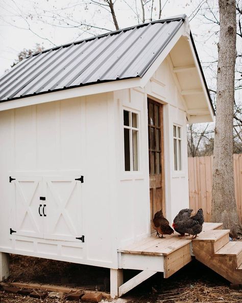 Chook Pen, Fancy Farm, Cute Chicken Coops, Duck Coop, Homestead Farm, Chicken Coop Designs, Coop Plans, Big Move, Backyard Chicken Coops