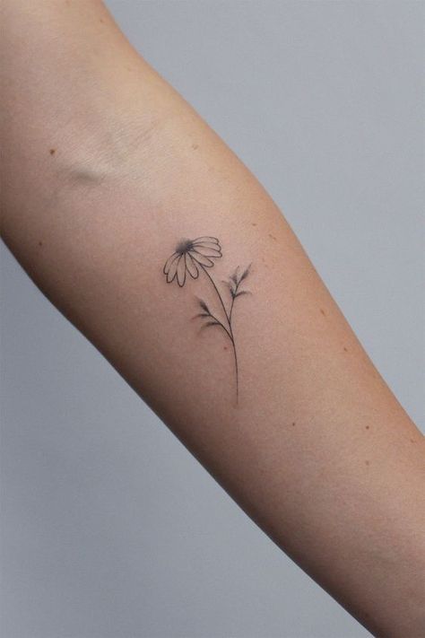 Small Daisy Tattoo, Daisy Tattoo Designs, Daisy Flower Tattoos, Petit Tattoo, Daisy Tattoo, Men Chest, Roses Peonies, Tattoos Geometric, Poke Tattoo