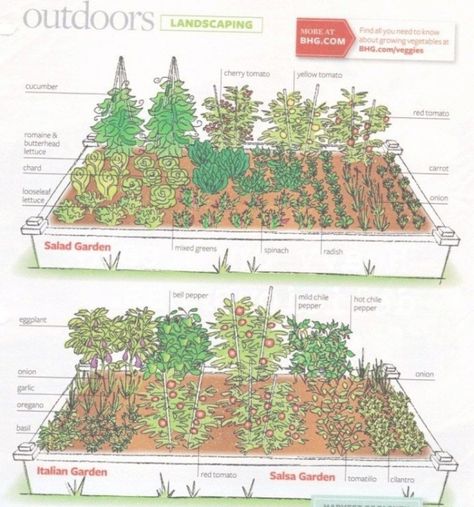 Salsa Garden, Winter Vegetables Gardening, Vegetable Beds Raised, Community Gardens, Vegetable Garden Raised Beds, Garden Layout Vegetable, Vegetable Garden Planning, Winter Vegetables, Garden Design Layout