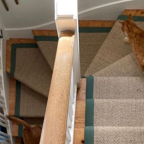 Rascal & Roses on Instagram: "{BESPOKE RUNNERS} Absolutely adore this shot from our Forest Hill clients of their beautiful stair runner. All our runners are designed to order (This is our natural Dunbar flooring in the centre with our Shamrock Green binding). Stairs with turns are tricky, our brilliant fitter Richard had to painstakingly template and cut each step, we then had the binding sewn on and each step then installed individually to ensure the shape of the stairs was perfectly echoed. A mission, but look at the results 💚🌟💚🌟." Beautiful Stairs, Forest Hill, Stair Runner, Binding, Bespoke, Stairs, This Is Us, Roses, Forest