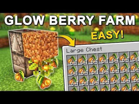 EASY Automatic Glow Berry Farm in Minecraft 1.20 (Tutorial) - YouTube Glow Berry Minecraft, Minecraft Glow Berries Farm, Automatic Minecraft Farms, Automatic Farms Minecraft, Minecraft Automatic Farm, Minecraft Museum, Minecraft Farms, Farm In Minecraft, Minecraft Book