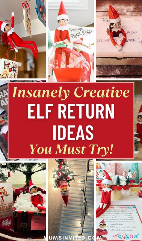 Looking for creative & easy Elf on the Shelf return ideas for 2024? Whether it's your elf's first time or a fun return, you'll find it here! From a funny arrival letter to school-themed ideas like a paper airplane or classroom reindeer, there's something for toddlers, teens & parents. Try a balloon welcome, DIY advent calendar, or a pet reindeer. Use free printable letters for a simple, last-minute elf idea. Get your elf back with marshmallow snow or a Grinch twist. Perfect for 2 elves too! Elf On The Shelf Returning Ideas, Elf Advent Calendar, Elf On The Shelf Return, Pet Reindeer, Elf Is Back Ideas, Avent Calendar, Elf Delivery, Elf Idea, Elf On The Shelf Arrival