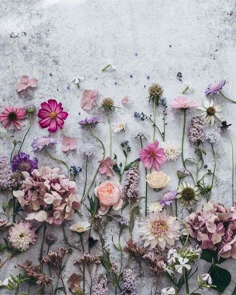 Spring Flat Lay Photography, Bouquet Flatlay, Aesthetic Flatlay Ideas, Flower Charts, Flower Flatlay, Spring Flatlay, Flowers Flatlay, Balloon Centerpieces Diy, Flower Flat Lay