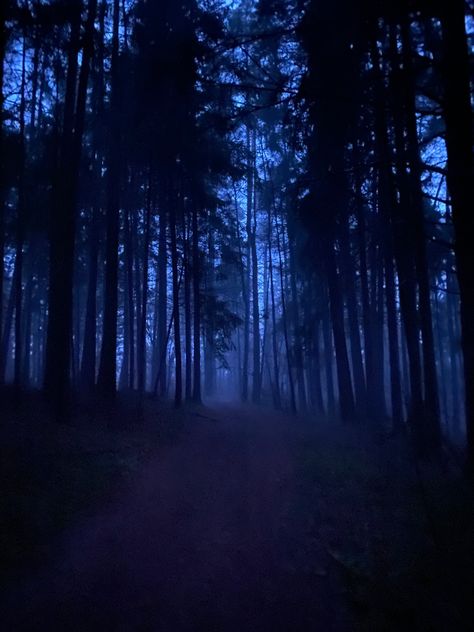 #gloomy #forest #dark #blue #night #trees #mist #nature #black #road #twilight #aesthetic  dark forest Dark Blue Forest Aesthetic, Night Time Forest Aesthetic, Blue Mist Aesthetic, Blue Hour Forest, Forest At Night Aesthetic, Blue Twilight Aesthetic, Blue Forest Aesthetic, Haunted Forest Aesthetic, Spooky Forest Aesthetic