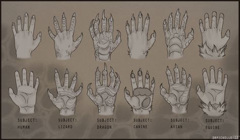 How To Draw Clawed Hands, Anthro Hands, Monster Claws, Alien Ideas, Hand References, Hands Drawing, Hybrid Art, Perspective Drawing Lessons, Hand Drawing Reference