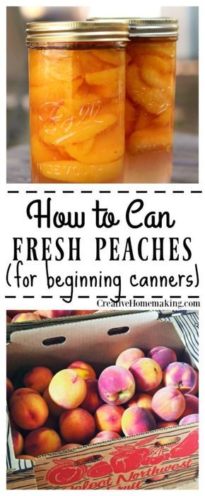 Can Fresh Peaches, Cold Pack Canning Peaches, Cinnamon Peaches Canned, Canning Peaches With Skin On, How To Bottle Peaches, Bottled Peaches Recipes, Canning Fresh Peaches Recipes, Canning Diced Peaches, How To Can Fresh Peaches