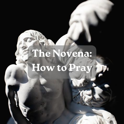 Novena Prayers Catholic, Sacred Heart Novena, Rosary Guide, Rosary Quotes, Divine Mercy Novena, Rosary Novena, Novenas Catholic, Novena Prayers, Learning To Pray