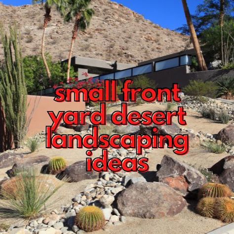 10 best Innovative small front yard desert landscaping ideas Front Yard Landscaping Desert Design, Small Desert Front Yard Landscape, Front Yard Landscaping Desert, Desert Home Landscaping Front Yards, Desert Yard Ideas, Desert Home Landscape Front Yards, Desert Landscaping Front Yard, Desert Landscape Front Yard, Growing Aloe Vera