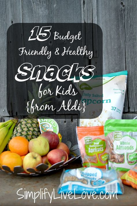 Looking for budget friendly AND healthy snacks to feed your kids? Here's a list of 15 easy items you can buy at ALDI that won't break the bank. AD Work Breakfast, Kids Foods, Healthy School Snacks, Healthy Snacks To Buy, Healthy Toddler Snacks, Kid Friendly Snack, Healthy School, Recipes Snacks, Baby Activity