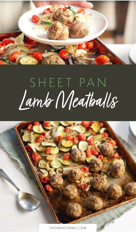 These meatballs have only a few ingredients and are so simple to make - the ground lamb brings so much flavor, they're great on their own or you can serve them with a dipping sauce like tzatziki or pasta sauce. We like to bake them with vegetables on the same sheet pan for a quick and easy dinner! Sheet Pan Meatballs, Meatballs With Vegetables, Dinner Mediterranean, Ground Lamb Recipes, Lamb Dinner, Mediterranean Diet Recipes Dinners, Meatball Recipes Easy, Lamb Meatballs, Lamb Dishes