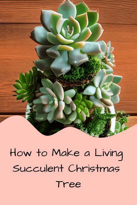 Succulent Christmas Tree Diy How To Make, Succulent Christmas Trees, Succulent Christmas Arrangements, Succulent Xmas Tree, Succulent Tree Christmas, Winter Succulent Arrangements, Christmas Tree Succulents Diy, Diy Succulent Christmas Tree, Succulent Christmas Tree Diy