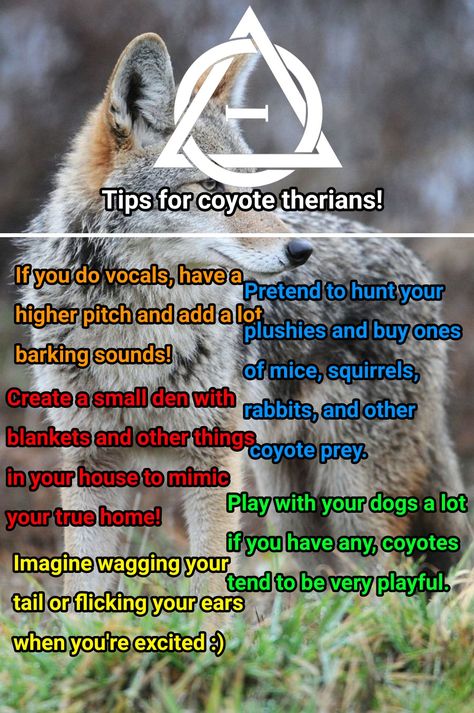 Any caninekin could follow these tbh but yeah Coyote Therian Tips, Therian Tips For School, Therian Snout Tutorial, Coyote Therian Mask Idea, Coyote Therian Outfit, Therian Mask Ideas Coyote, Therian Activities, Coyote Therian Mask, Therian Coyote