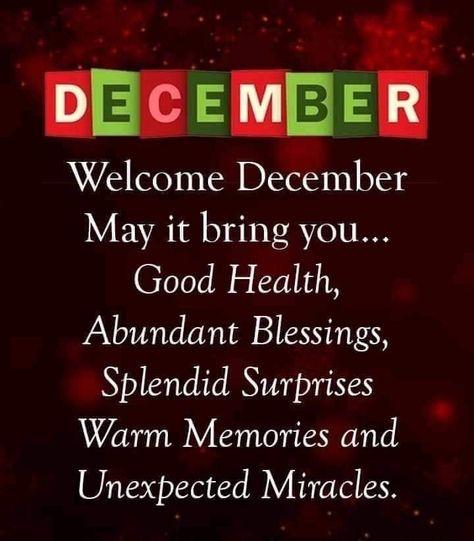 Happy New Month December Blessings, New Month Quotes December, Happy New Month Of December, Happy New Month December Wishes, Good Morning December Quotes, Happy December Quotes, December Quotes Happy, Good Morning December, December 1st Quotes