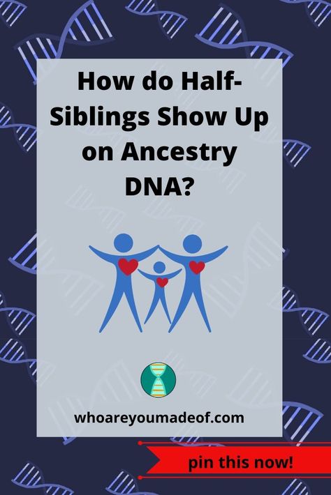 Are you curious what a half-sibling match will look like on Ancestry DNA?  Whether you are trying to determine how a match is related to you, or trying to figure out if your sibling match is a full or half-sibling, you'll find helpful answers here. Genealogy Search, Second Cousin, Half Siblings, 23 And Me, Match Profile, Sibling Relationships, Ancestry Dna, Ancestry Genealogy, Immediate Family