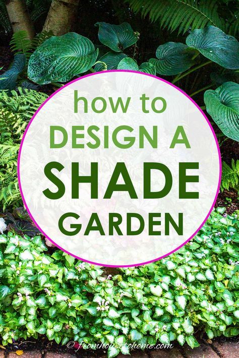 Shade Planters, Shady Backyard, Shade Landscaping, Shade Garden Design, Shade Loving Perennials, Shade Garden Plants, Flower Bed Designs, Shade Gardens, Gardening Projects