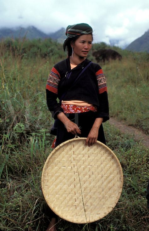 Hmong Lady with Rice Basket  North Vietnam LaoCai Province  South East Asia Hill Tribe South East Asian Culture, Beautiful Vietnam, Northern Vietnam, Hmong Textiles, Chara Design, Easy Asian, North Vietnam, Rice Fields, Asian History