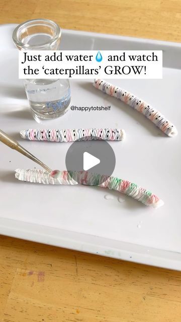 Fynn Sor | Happy Tot Shelf on Instagram: "🐛✨ Watch these caterpillars grow right before your eyes!

💫 What’s the science behind this experiment? 💫
Paper towels are mostly made of cellulose, a material that loves water. When you add water, the cellulose fibres soak it up through capillary action, causing the paper towel to expand.

🤩 Want more kid-friendly science experiments? Comment ‘Science’ and I’ll send you our list of easy and fun science experiments for preschoolers – perfect for sparking your young learner’s curiosity!

#ScienceForKids #FunExperiments #GrowingCaterpillars #HandsOnLearning #STEMactivities #HappyTotShelf #KidsScience #DuploInspiration #EducationalFun #CuriousKids #earlylearning #preschoolactivities" Capillary Action Experiment, Easy Experiments For Kids Preschool, Science Experiments Kids Preschool Easy, Caterpillar Activities For Preschool, Water Experiments For Kids, Experiments For Preschoolers, Toddler Entertainment, Science Experiments Kids Preschool, Fun Science Experiments