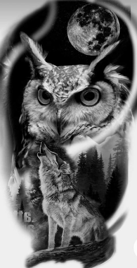 Owl Wolf Tattoo Design, Owl And Wolf Tattoo, Tattoo Design Black And Grey, Tattoo Design Sketches, Tattoo Drawings Sketches, Realistic Owl Tattoo, Tato 3d, Owl Tattoo Sleeve, Owl Tattoo Drawings