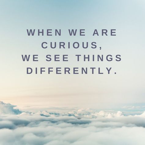 I love this quote. It reminds me that they are many ways to look at a person, topic, or experience. Each perspective comes from a different lense based on their personal history and experience. In order to understand the other person's position, we need to get out of our comfort zone and be curious about the other perspective. Can you think of an instance where you can be curious and ask questions about the other side? Can being curious help you solve a problem? New Perspective Quotes, Curious Quotes, Wood Snake, Curiosity Quotes, Letterboard Quotes, Perspective Quotes, Moodboard Inspiration, Be Curious, Personal History