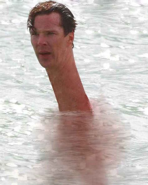 Benedict Cumberbatch's Long Neck Is Your New Favourite Meme People With Long Necks, Long Neck Hairstyles, Benedict Cumberbatch Funny, Curse Images, Avengers Humor, Karakter Marvel, Funny Post, Marvel Images, Marvel Avengers Funny