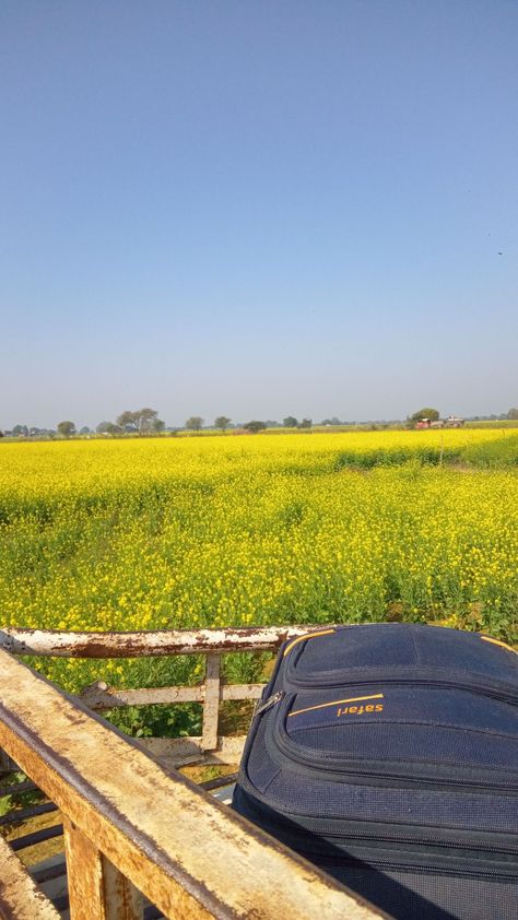 Aesthetic view
Travel Aesthetic
Mustard fields
Mustard fields aesthetic
Yellow Aesthetic
Sky aesthetic
Nature scenery aesthetic Travel Bag Aesthetic, Aesthetic View, Bag Aesthetic, Bags Aesthetic, Travel Aesthetic, Travel Bag, Mustard, Travel, Quick Saves