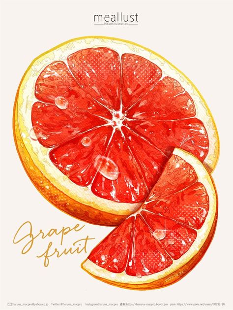 Fruit Art Drawings, Fruits Drawing, Food Painting, Citrus Trees, Fruit Illustration, Fruit Art, Pretty Wallpaper Iphone, Food Drawing, Food Illustrations