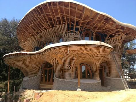 House In Spain, Houses Architecture, Marble House, Eco Buildings, Organic House, Jungle House, Earthship Home, Bamboo Architecture, Unusual Buildings