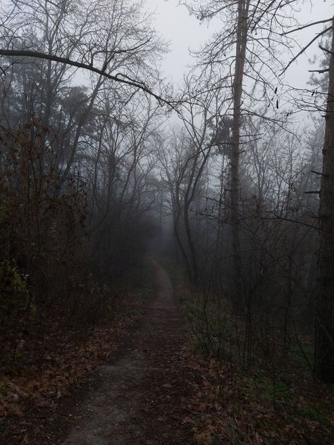 Pnw Fall, Highway Men, Dark Naturalism, Dark Autumn, Dark Nature Aesthetic, Season Of The Witch, The Secret History, Best Seasons, Autumn Aesthetic