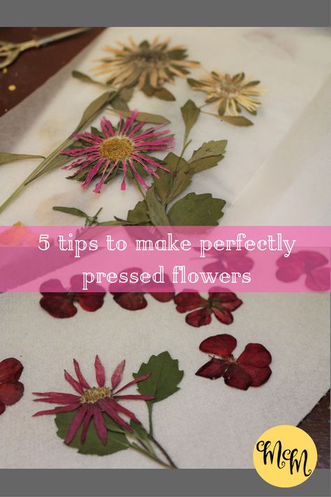 Best Flowers For Pressing, Storing Pressed Flowers, Pressed Zinnias, Herbal Crafts, Hammered Flowers, Dried Flowers Crafts, Preserving Flowers, Pressed Flowers Diy, Press Flowers