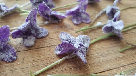 Violet Food, Candied Flowers, Candied Violets, Violet Cakes, Edible Flowers Recipes, Foraging Recipes, Candy Flowers, African Violet, Dried Cherries